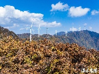 风力发电好风光