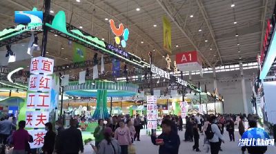 聚焦2025湖北农业博览会丨让“荆楚优品”插上翅膀