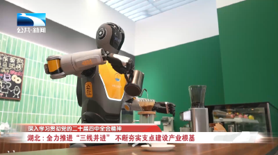 【旗帜】深入学习贯彻党的二十届四中全会精神 | 湖北：全力推进“三线并进”  不断夯实支点建设产业根基