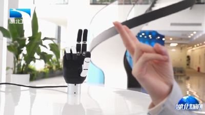 智涌荆楚 赋新未来 | 湖北加快打造“人工智能+”普惠应用新生态