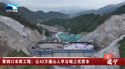黄荆口水库工程：让40万通山人早日喝上优质水