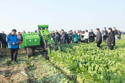 科技赋能 产销联动 天门蔬菜全力打造“华中菜篮子”