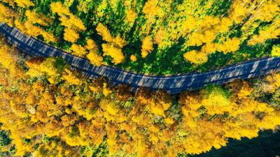 【回眸“十四五”】建始：“十四五”金融活水浇灌出的新生态