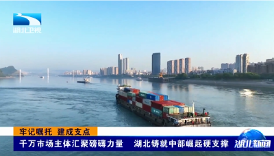 牢记嘱托 建成支点 | 千万市场主体汇聚磅礴力量 湖北铸就中部崛起硬支撑