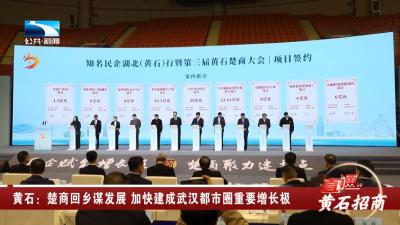 黄石：楚商回乡谋发展 加快建成武汉都市圈重要增长极