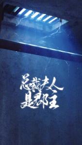 总裁夫人是郡主31