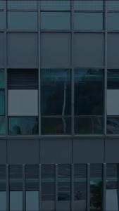 金刚大战巨蟒41