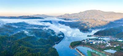 卖出山里货 招来城里客 “大别山头雁”引领产业突围