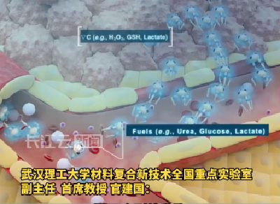 可用于肿瘤精准治疗 “湖北造”可注射抗病纳米机器人取得突破性进展