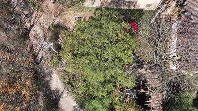 湖北五道峡国家级自然保护区