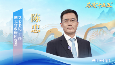 湖北省政府国资委党委书记、主任陈忠：以改革之笔 绘国资国企新蓝图