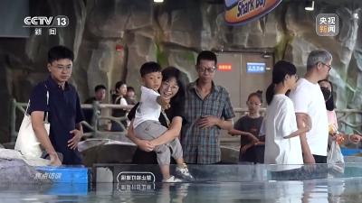 中央财办：扩大内需是明年排在首位的重点任务