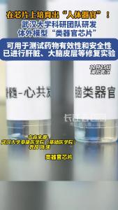 在芯片上培育出“人体器官”！武汉大学科研团队研发体外模型“类器官芯片’