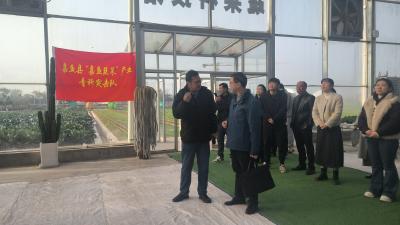 田野课堂讲“新”声 百姓舞台传“心”音 咸宁创新形式推动党的二十届四中全会精神深入基层