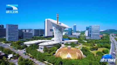 从一个“韧”字看湖北2025年经济发展