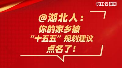 @湖北人：你的家乡被湖北“十五五”规划建议点名了！