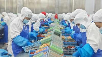 “红”动天下——“潜江龙虾”产业的全球化突围征程