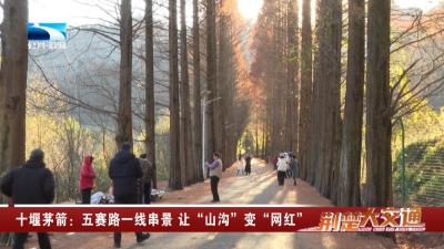 十堰茅箭：五赛路一线串景 让“山沟”变“网红”