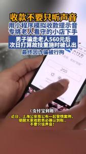 男子用小程序模拟收款提示音，诈骗560元被行拘