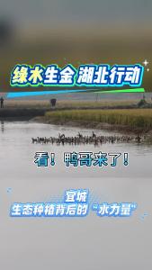 宜城：生态种植背后的水力量