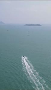 金刚大战巨蟒18