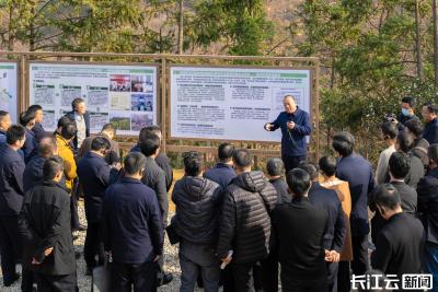 武汉创新“三权分置”方式，让集体林地变成“金山银山”