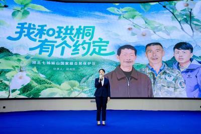 2025年湖北保护地故事｜守护“鸽子树”：祖孙三代跨越半世纪的绿色约定 