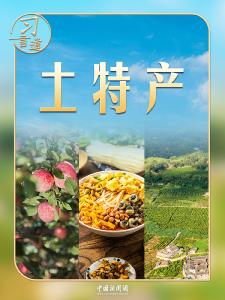 习言道｜习近平要求琢磨透这3个字