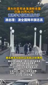 海滩枪击案已致16死 澳全国降半旗志哀 两枪手身份确认系父子