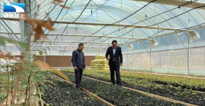 生态湖北：扎根深山二十八载 守护一方绿水青山