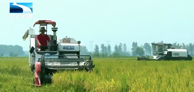 第五届垄上丰收节暨粮王擂台赛圆满落幕 科技赋能筑牢粮食安全根基