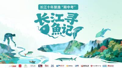 长江寻鱼记 | 鄱阳湖上鱼成群 退捕渔民新生活