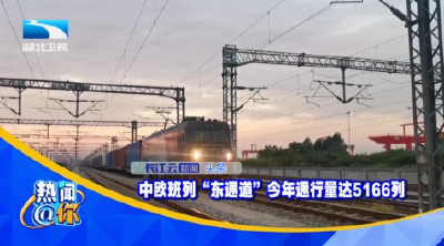 中欧班列“东通道”今年通行量达5166列