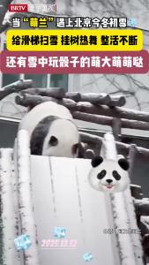 当“萌兰”遇上北京今冬初雪