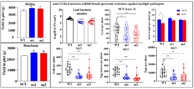 湖北科研团队首次揭示大豆产量和抗性协同提升新路径