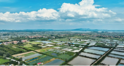 扬帆“压舱石” 潮涌新鄂城