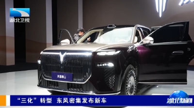 贯彻四中全会精神在一线 | “三化”转型 东风密集发布新车