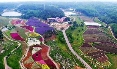 实施全域整治 改善人居环境 发展绿色产业——玛瑙河流域绘就“绿富美”乡村新景