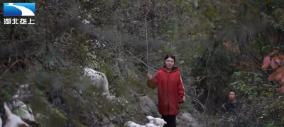 恩施巴东：返乡当羊倌 唱响产业发展牧歌