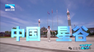 什么是“星谷”？