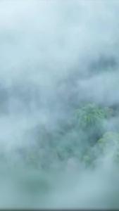 金刚大战巨蟒20