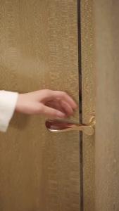 我把双胞胎弄丢了11