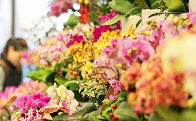 城市换新装、花市人气旺 跨年仪式感拉满了