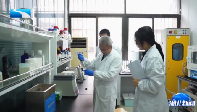 “湖北造”可注射抗病纳米机器人取得突破性进展