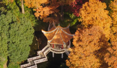 晴晴晴晴晴晴晴晴，东湖彩叶美出新高度！