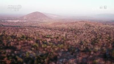 湖北大别山国家自然保护区