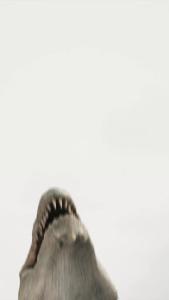 金刚大战巨蟒30