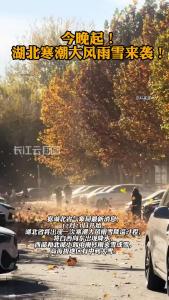 今晚起！湖北寒潮大风雨雪来袭！