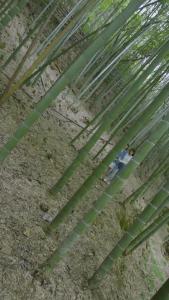 赘婿归来之我是奇门少主79