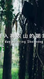 金刚大战巨蟒21